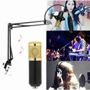 Microfone de Estúdio Profissional ClearTone® Com Braço Articulado